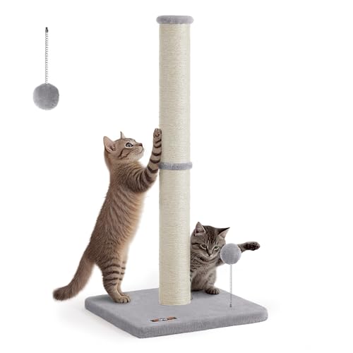 Feandrea Kratzbaum, 85 cm hoch, Kratzsäule, Katzenbaum, Kratzstamm für Kätzchen und Normale ausgewachsene Katzen, Sisalstamm, mit Plüschball und Glocke, Taubengrau PCA040G01 Feandrea Kratzbaum, 85 cm hoch, Kratzsäule, Katzenbaum, Kratzstamm für Kätzchen und Normale ausgewachsene Katzen, Sisalstamm, mit Plüschball und Glocke, Taubengrau PCA040G01 von Feandrea