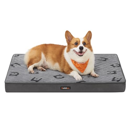 Feandrea Hundebett, Hundekissen waschbar, Hundematte abnehmbar, wasserdicht, 76 x 51 x 8 cm, Größe M, für kleine und Minihunde, Taubengrau PGW241G01 von Feandrea