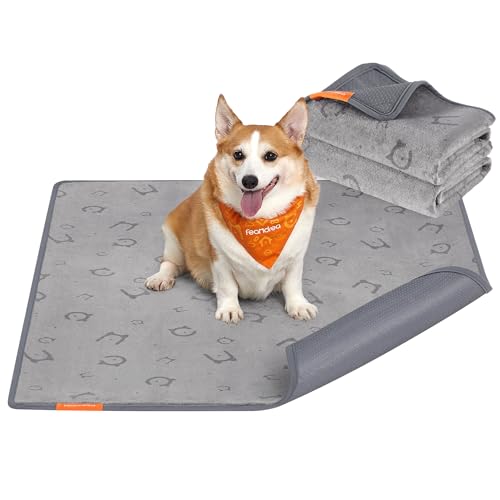 Feandrea Hundedecke, 2er Set, Wiederverwendbare Hundematte, 122 x 91 cm, L, wasserdicht, auslaufsicher, rutschfest, saugfähig für Hunde, Katzen, Kaninchen, Taubengrau PTD003G01 von Feandrea