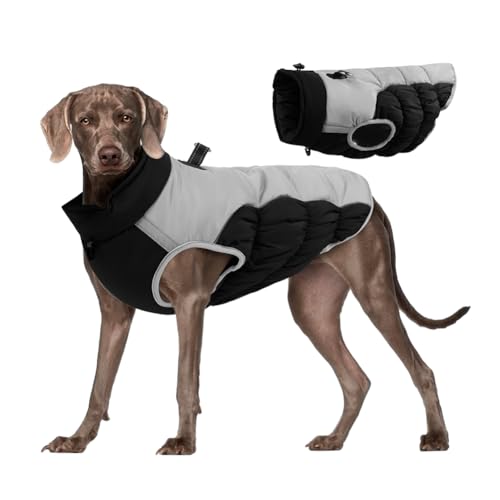 Feaolala Hundeweste Winterwarme Kleidung Hundewinterkleidung Jacke mit Geschirr Warme Haustierweste Winddicht Sicher mit Gewinde für Winter (5XL,Schwarz) von Feaolala