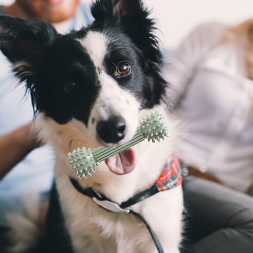 Feaolala Zahnbürste Hund Kauspielzeug Stick Knochen für Hund Zähne Reinigung Zahnbürsten Zahnen Kauspielzeug Knötchen Hilfe Reinigen Zähne Huhn Geschmack Zahnpflege für Hunde (Grün) von Feaolala