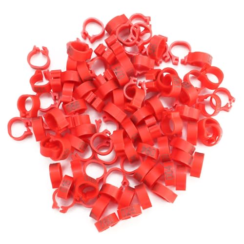 Febuliy 100pcs Bag 8mm 001-100 nummerierte Kunststofftaubenbänder 错误 Praktische Clip-Design für Buchstabenpaare Vogel 6 Farben anwendbar (Rot) von Febuliy