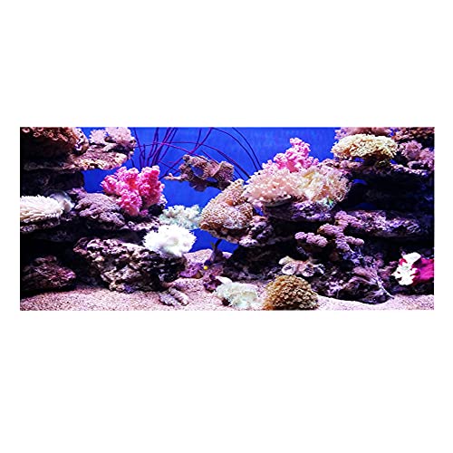 Febuliy 3D Effect Adhäsive Korallenseeworld Poster Aquarium Fischtank Dekoration wasserdicht haltbar einfach sauber, selbstklebend schön hell farbenfroh (122 * 46 cm) von Febuliy