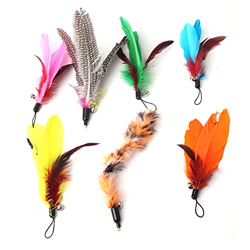 Febuliy 7 PCs Haustierkatze Teaser Dangler Spielzeugstangen Feder Ersatz Kopfkatzen liefert interaktive Beute Jagd Set Bunte sichere, ungiftige Sortengrößen von Febuliy