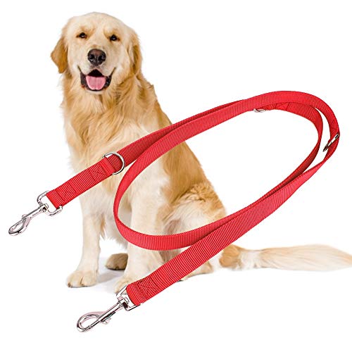 Febuliy Doppelschnalle Nylon Flexible Haustierhund -Leinen -Traktionseil 2m für große Hunde (2,5 cm*200 cm) von Febuliy