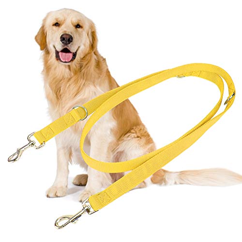 Febuliy Doppelschnalle Nylon Flexible Haustierhund -Leinen -Traktionseil 2m für große Hunde (2,5 cm*200 cm) von Febuliy