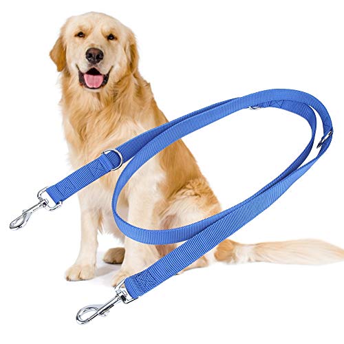 Febuliy Doppelschnalle Nylon Flexible Haustierhund -Leinen -Traktionseil 2m für große Hunde (2,5 cm*200 cm) von Febuliy