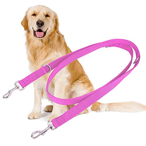 Febuliy Doppelschnalle Nylon Flexible Haustierhund -Leinen -Traktionseil 2m für große Hunde (2,5 cm*200 cm) von Febuliy