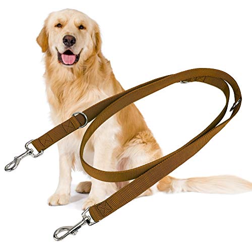 Febuliy Doppelschnalle Nylon Flexible Haustierhund -Leinen -Traktionseil 2m für große Hunde (2,5 cm*200 cm) von Febuliy