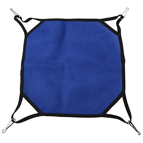 Febuliy Pet Mesh Hängematte Hamster Eichhörnchen Aktivität hängendes Bett atmungsaktives leichtes Blau (L (34 * 34 cm)) von Febuliy