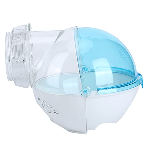 Hamster Badezimmer Toilette Plastik kleines Haustierzubehör sicheres Material ideal für Hamster von Nagetieren für kleine Haustiere (Blau) von Febuliy