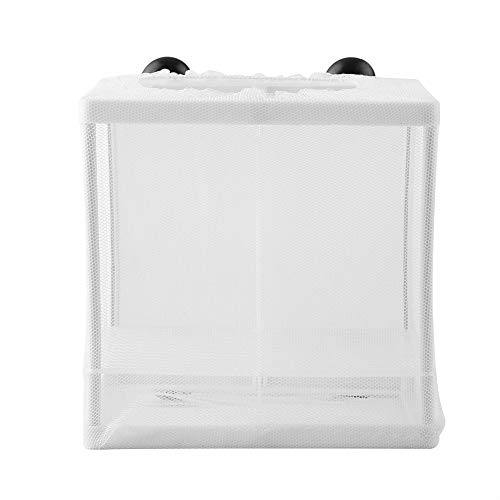 Mesh Box Fish Breeding Net Aquarium Inkubator Safes Material einfach Installation von Febuliy