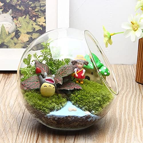 Mikro-Landschaft Glasvase, künstliche Pflanzen in geometrischen Glastöpfen, Sukkulenten Pflanze Terrarium Container Blumentöpfe, klare Glaskugel Kugeln von Feegow