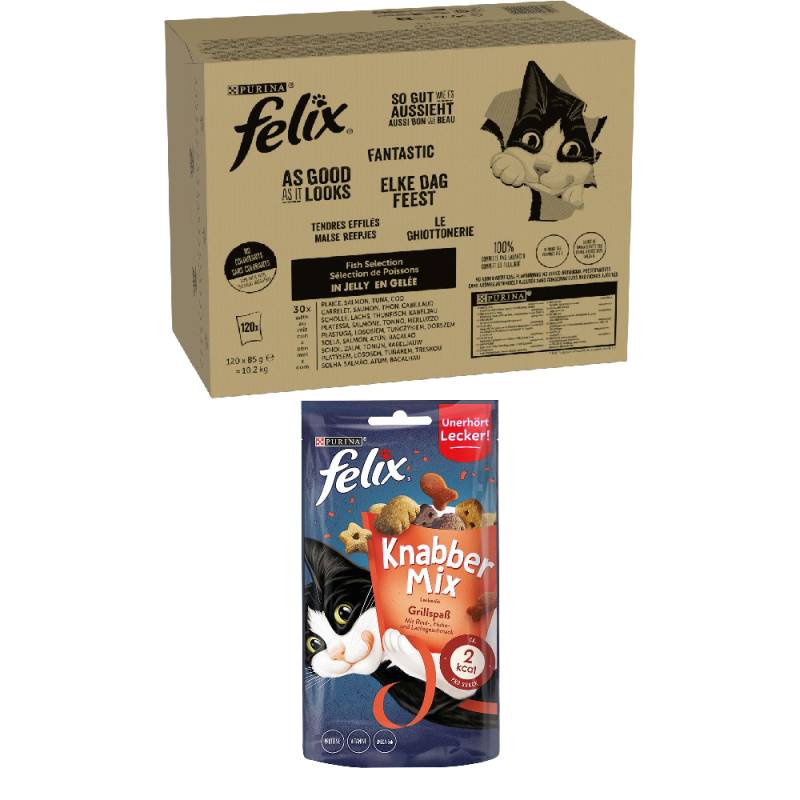 120 x 85 g Felix in Gelee + 60 g KnabberMix Grillspaß Snack gratis! -  "So gut wie es aussieht" Gelee: Fisch Mix 2 von Felix