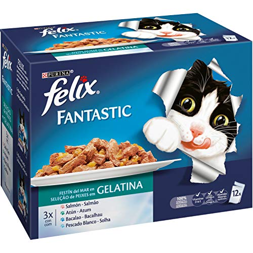 FELIX - Fantastic Festin de la Mer - 1.20 Kg von Felix