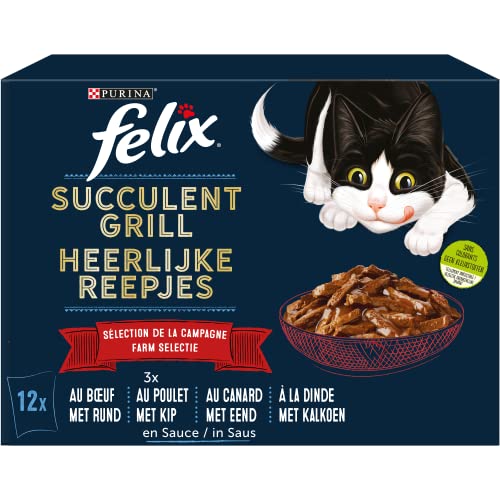 FELIX Sukkulente | ausgewachsene Katze | Auswahl an Rind, Huhn, Ente, Truthahn in Sauce | 6er Pack | 12 x 80 g | Frischebeutel von Felix