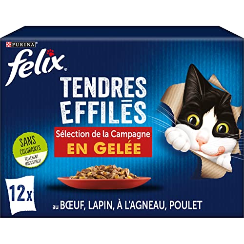 FELIX Zarte Gelee | ausgewachsene Katze | Auswahl an Huhn, Rind, Kaninchen, Lamm | 12 x 85 g | Frischebeutel von Felix