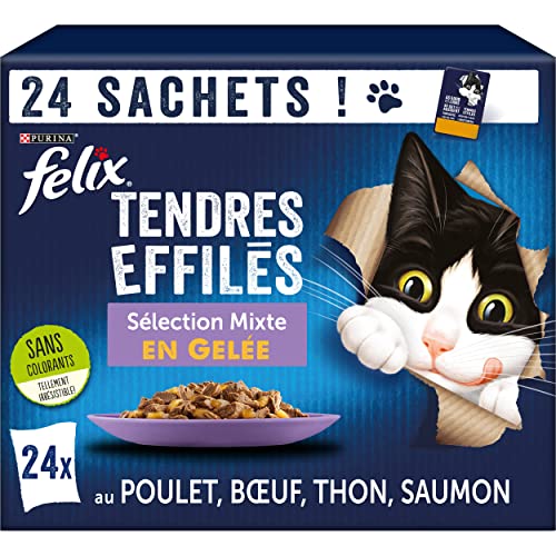 FELIX Zarte Gelee | ausgewachsene Katze | Auswahl an Huhn, Rind, Thunfisch, Lachs | 24 x 85 g | Frischebeutel von Felix