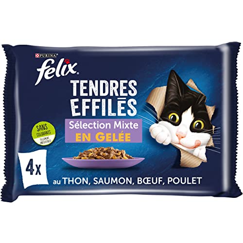 FELIX Zarte Gelee | ausgewachsene Katze | Auswahl an Huhn, Rind, Thunfisch, Lachs | 4 x 85 g | Frischebeutel von Felix