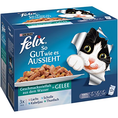 Felix Katzennassfutter So gut wie es aussieht in Gelee Geschmacksvielfalt aus dem Wasser, 6er Pack (6 x 12 x 100g) Portionsbeutel von Felix