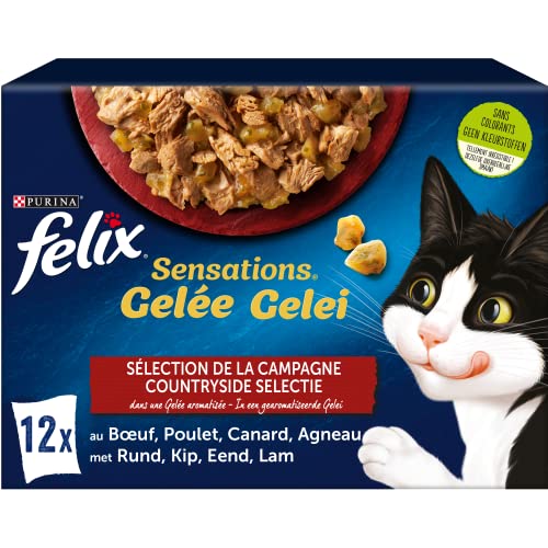 FELIX Sensations Gelee | ausgewachsene Katze | Auswahl von Rind, Huhn, Ente, Lamm | 12 x 85 g | Frischebeutel von Felix