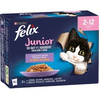 Felix "So gut wie es aussieht" Junior 48 x 85 g - Gemischte Vielfalt in Gelee von Felix