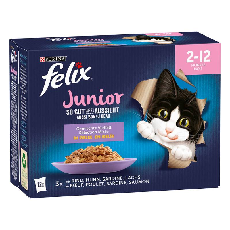 Felix Junior Nassfutter "So gut wie es aussieht" 48 x 85 g - Huhn, Rind, Lachs, Sardine von Felix