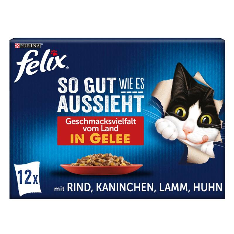 FELIX So gut wie es aussieht in Gelee Geschmacksvielfalt vom Land 12x85g von Felix