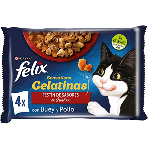 PURINA FELIX Sensations Katzenfutter, verschiedene Fleischsorten, 12 x [4 x 85 g] von Felix