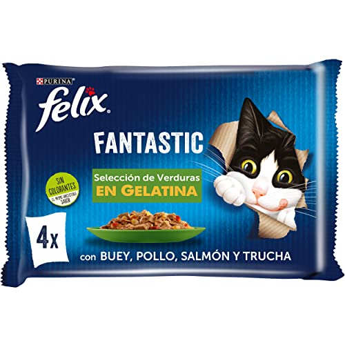 Felix Purina Fantastic Nassfutter für Katzen, Erwachsene, Sortiment, Gemüse, 12 Packungen, 4 Beutel à 85 g - 48 von Felix