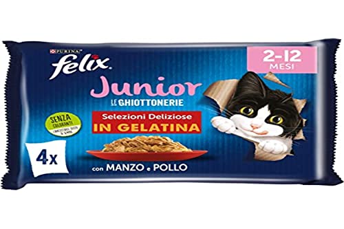 Purina Felix Le Ghiottonerie Feuchtigkeit für Katzen Junior mit Rind und Huhn, 48 Beutel à 85 g von Felix