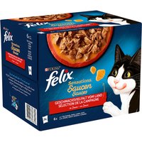 Sparpaket Felix "Sensations" 48 x 85 g - Fleischvielfalt in Sauce (Truthahn, Rind, Lamm, Ente) von Felix