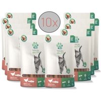 Fellicita Huhn & Lachs Sticks 10x 50g Fellonis Katzensnacks von Fellicita