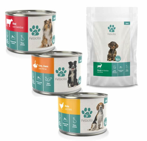 Fellicita Hund Nassfutter Probierpaket klein 100g/200g von Fellicita