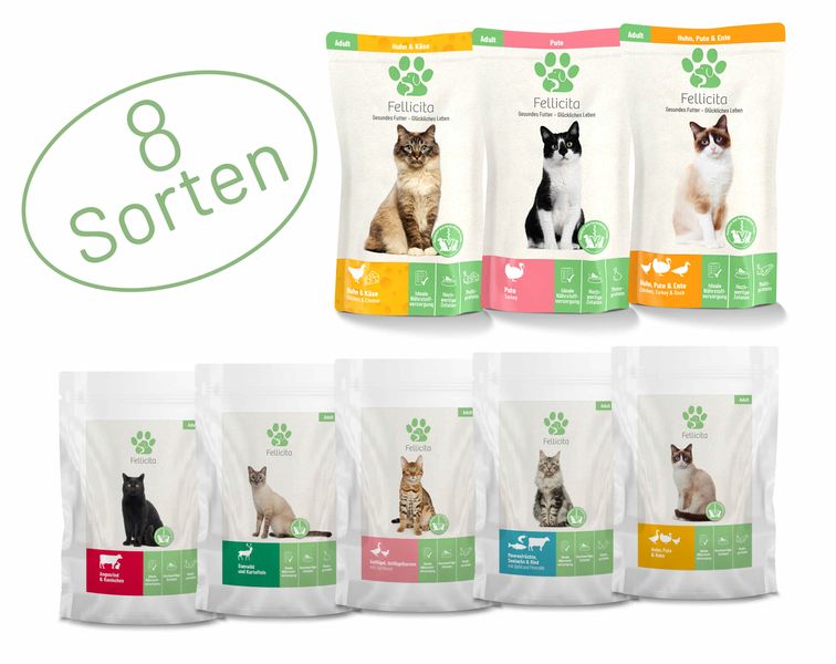 Fellicita Katze Nassfutter Probierpaket 95g/100g von Fellicita