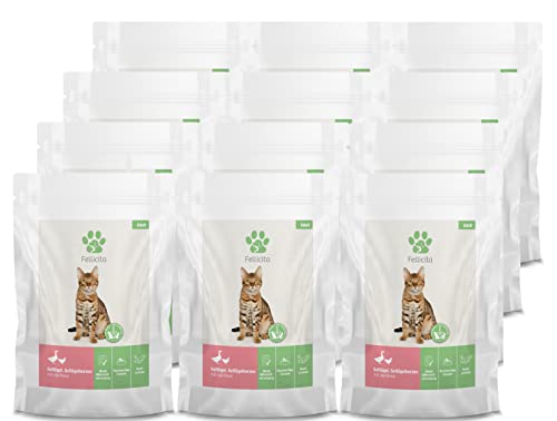 Fellicita Premium Nassfutter für Katzen - Geflügel, Geflügelherzen mit Aprikose - 12er Pack, 12 x 95g, Multiprotein, hochwertiges Futter, getreidefrei, leckere Pastete, Alleinfuttermittel von Fellicita