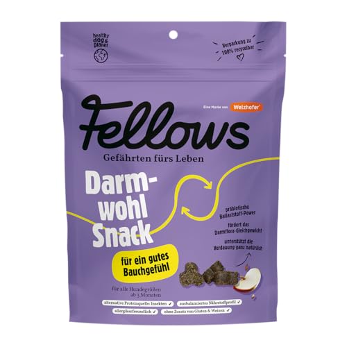 Fellows Darmwohl Leckerli für Hunde – Glutenfreier Snack mit Insektenprotein und Apfel – Unterstützt die Verdauung – Gesunde Belohnung für empfindliche Hunde 125 g von Fellows