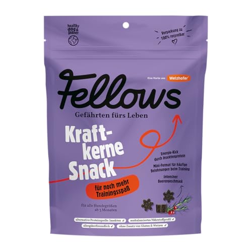 Fellows Kraftkerne Snack – Leckerli für noch mehr Trainingsspaß, Energie-Kick mit intensivem Beerengeschmack – Getreidefreier Hundesnack, natürlich & hypoallergen (125g) von Fellows