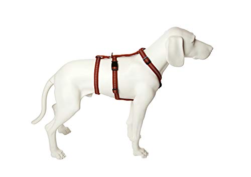 Feltmann Das Original - NoExit Hundegeschirr ® - Zweiter Bauchgurt abnehmbar, Sicherheitsgeschirr für Pflegehunde, Panikgeschirr, No Escape, Super Soft, Cognac, Bauchumfang 35-50 cm, 15 mm Bandbreite von Feltmann