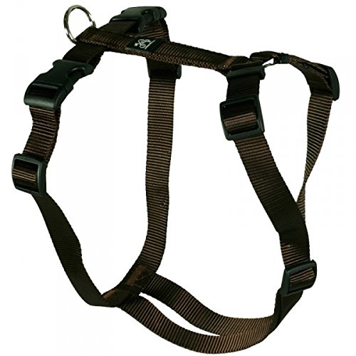 Feltmann Hundegeschirr - Nylonband, Unifarben Braun, Bauchumfang 50-65 cm, 20 mm Bandbreite von Feltmann