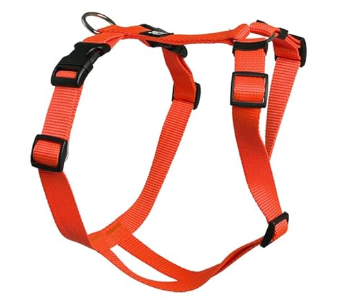 Feltmann Hundegeschirr - Nylonband, Unifarben Orange, Bauchumfang 60-80 cm, 25 mm Bandbreite von Feltmann