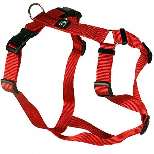 Feltmann Hundegeschirr - Nylonband, Unifarben Rot, Bauchumfang 40-60 cm, 15 mm Bandbreite von Feltmann