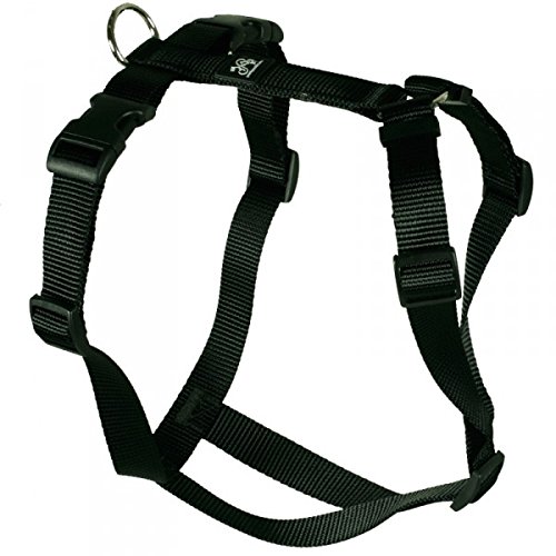 Feltmann Hundegeschirr - Nylonband, Unifarben Schwarz, Bauchumfang 35-50 cm, 15 mm Bandbreite von Feltmann