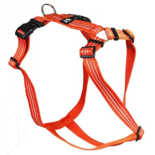 Feltmann Hundegeschirr - Soft-Nylonband Reflektierend orange, Bauchumfang 50-65 cm, 20 mm Bandbreite von Feltmann