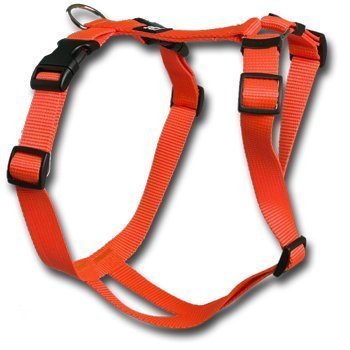 Feltmann-Kreuzgeschirr Nylon-Gurtband ORANGE 30-50 cm von Feltmann