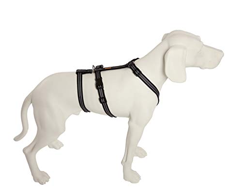 Feltmann No Exit ausbruchsicheres Hundegeschirr für Angsthund, Sicherheitsgeschirr für Pflegehunde, Panikgeschirr, Soft Grip, Bauchumfang 50-65 cm, 20 mm Bandbreite, schwarz/Silber von Feltmann