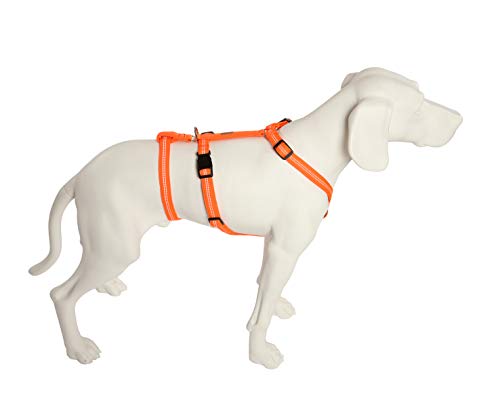 Feltmann No Exit ausbruchsicheres Hundegeschirr für Angsthund, Sicherheitsgeschirr für Pflegehunde, Panikgeschirr, Super Soft, Neonorange, Bauchumfang 35-50 cm, 15 mm Bandbreite von Feltmann