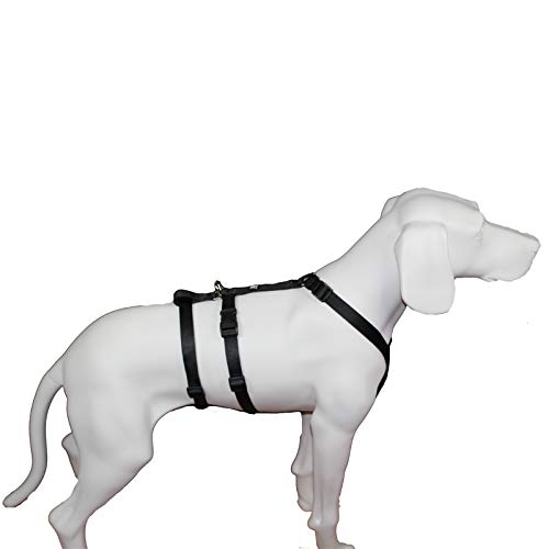 Feltmann NoExit Brustgeschirr ausbruchsicher, Soft, Uni, Sicherheitgeschirr für Hunde (30-40cm / 2,5-4,5kg, Schwarz) von Feltmann