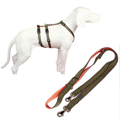 Feltmann NoExit Hundegeschirr® - ausbruchssicher, Panikgeschirr, Khaki Muster, Bauchumfang 70-90 cm, 25 mm Bandbreite, mit passender Führleine 210 cm, 3-Fach verstellbar von Feltmann