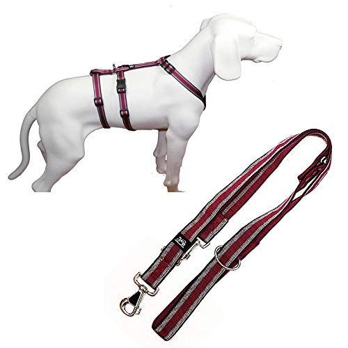 Feltmann NoExit Hundegeschirr® - ausbruchssicher, Panikgeschirr, Pflaume Muster, Bauchumfang 70-90 cm, 25 mm Bandbreite, mit passender Führleine 210 cm, 3-Fach verstellbar von Feltmann